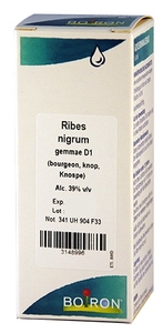 Ribes Nigrum Gemmo D160ml Boiron
