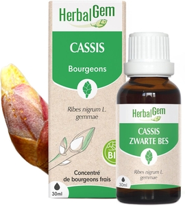 Herbalgem Zwarte Bes Bio Spray 15 ml