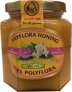 Melapi Polyflora+Koninginnengelei 500g | Honing