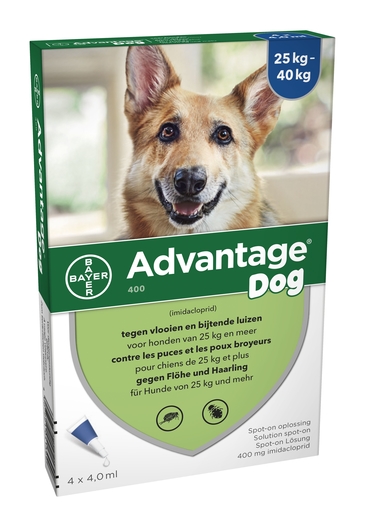 Bedienen Samengroeiing oog Advantage 400 Honden 25<40 kg 4x4 ml | Geneesmiddelen voor honden