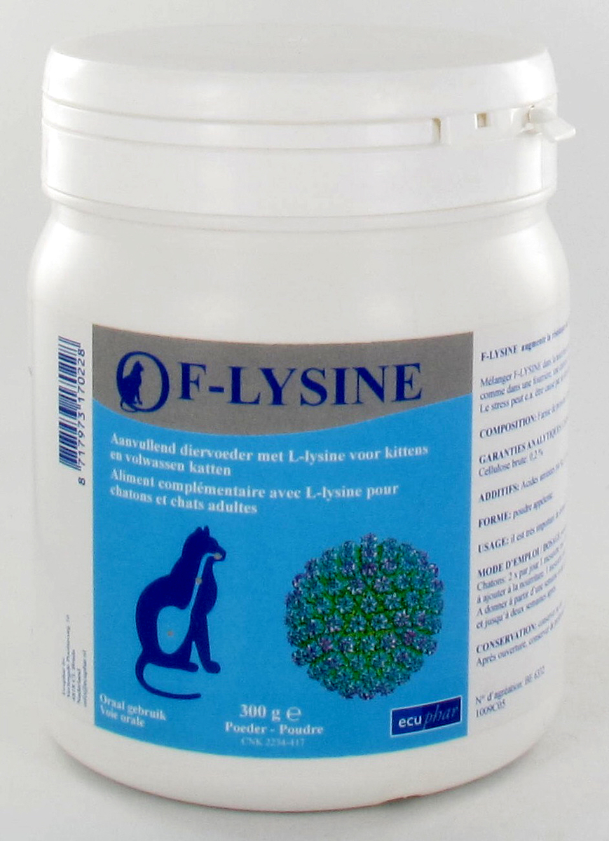 F Lysine Poudre 300g Beauty To Go