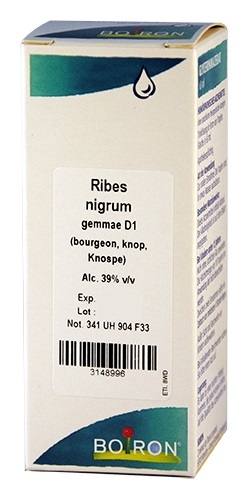 Ribes Nigrum Gemmo D160ml Boiron | Macérats Glycérinés