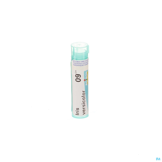 Iris Versicolor 9ch Gr 4g Boiron | Granules - Globules