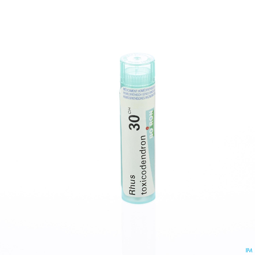 Rhus Toxicodendron 30CH Granules 4g Boiron | Granules - Globules