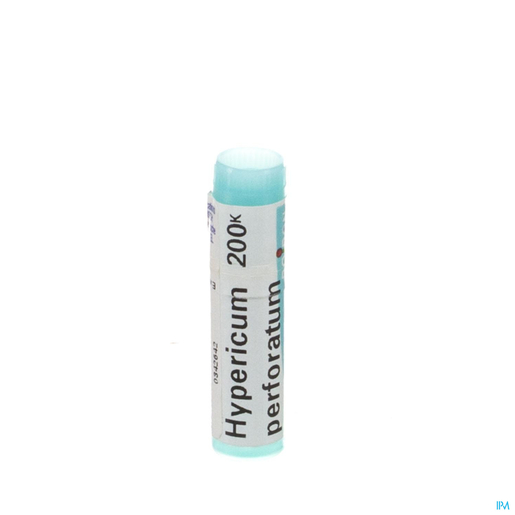 Hypericum Perforatum 200K Globulen Boiron | Granulaat - Druppels