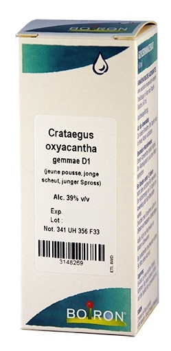 Crataegus Oxyacantha Gemmo D1 60ml Boiron | Macérats Glycérinés