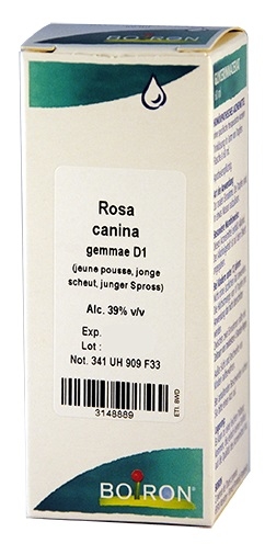 Rosa Canina Gemmo D1 60ml Boiron | Glycerinemaceraat