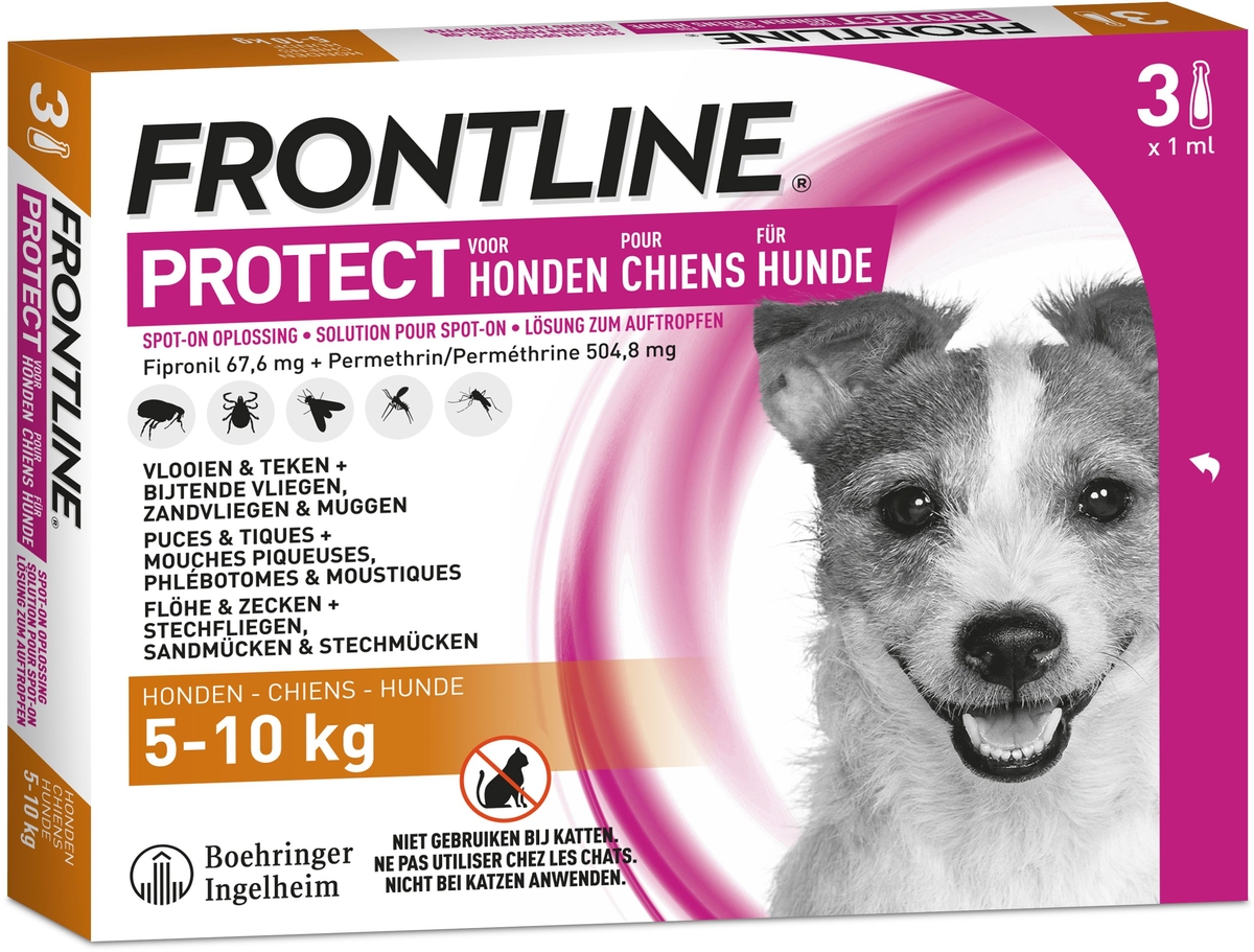 kleding stof karton Uitscheiden Frontline Protect Spot On Hond 5-10 kg 3x1 ml | Vlooien- en tekenwerende  middelen