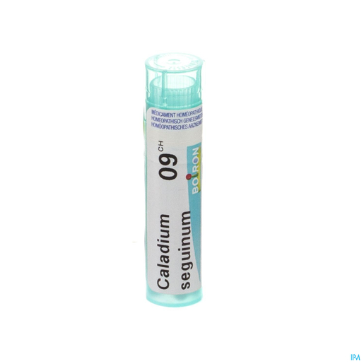 Caladium Seguinum 9ch Gr 4g Boiron | Granules - Globules