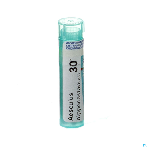 Aesculus Hippocastanum 30K Granules 4g Boiron | Granules - Globules