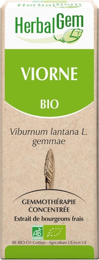 Herbalgem Viorne Macérat 50ml | Produits Bio