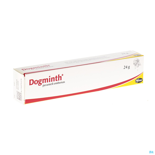 Dogminth Pate Pasta Veter 24 G | Médicaments pour chien