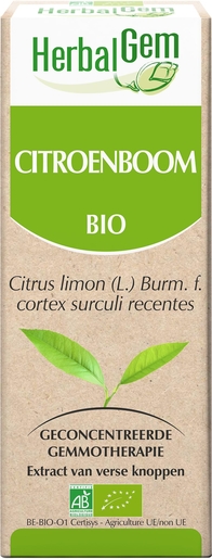 Herbalgem Citroenboom Maceraat 15ml | Bloedsomloop