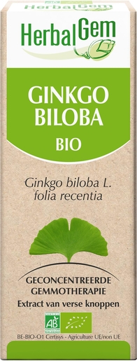 Herbalgem Ginkgo Biloba Maceraat 15ml | Bloedsomloop