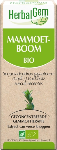 Herbalgem Sequoia Maceraat 50ml | Gewrichten - Spieren - Botten