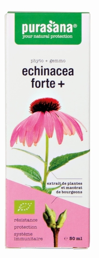 Purasana Echinacea Forte+ 50 ml | Conditie - Energie