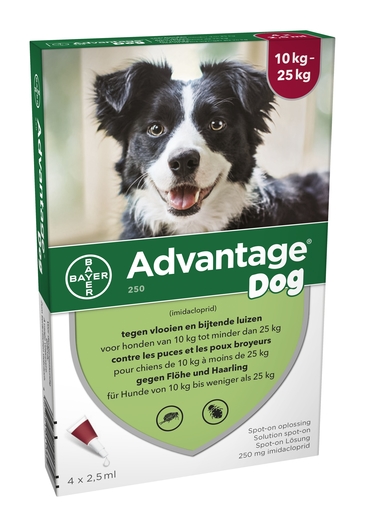 Advantage 250 Honden 10&lt;25 kg 4x2,5 ml | Geneesmiddelen voor honden