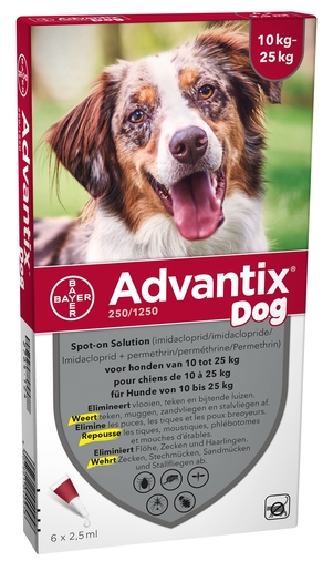 Advantix 250/1250 Honden 10&lt;25 kg Fl 6x2,5 ml | Geneesmiddelen voor honden