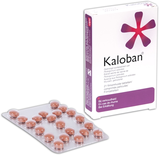 Kaloban VSM 21 tabletten | Verkoudheid