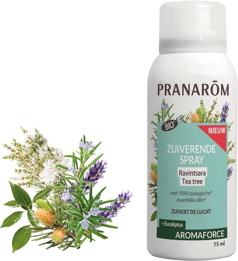 Pranarôm Aromaforce Zuiverende Spray Ravintsara Tea-Tree Bio 75 ml | Zuiverend