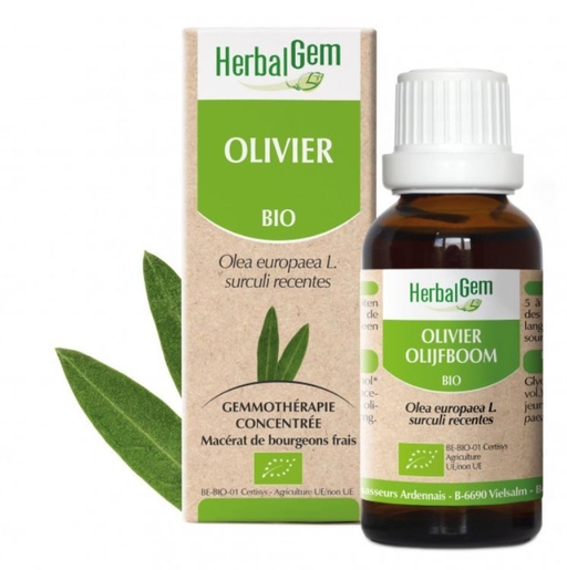 Herbalgem Olivier Bio 30ml | Circulation