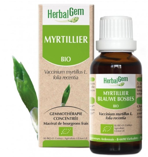 Herbalgem Myrtillier Bio 30ml | Vision