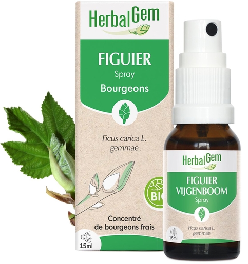 Herbalgem Vijgenboom Bio Spray 15 ml | Ontspanning - Nachtrust