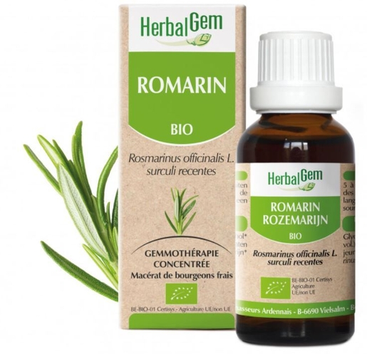 Herbalgem Romarin Bio Gouttes 30ml | Drainage - Detox