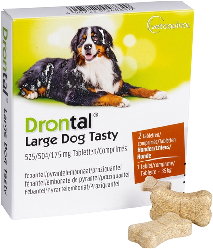 Drontal Large Dog Tasty 525/504/175mg Comp 1x2 | Médicaments pour chien