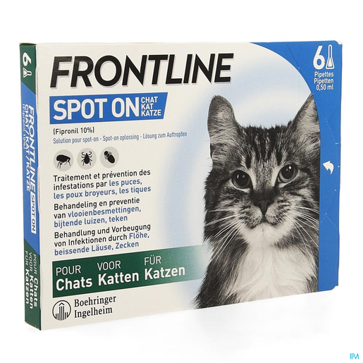 onwetendheid geloof Accountant Frontline Spot On Kat 10% Pipet 6x0,50 ml | Geneesmiddelen voor katten