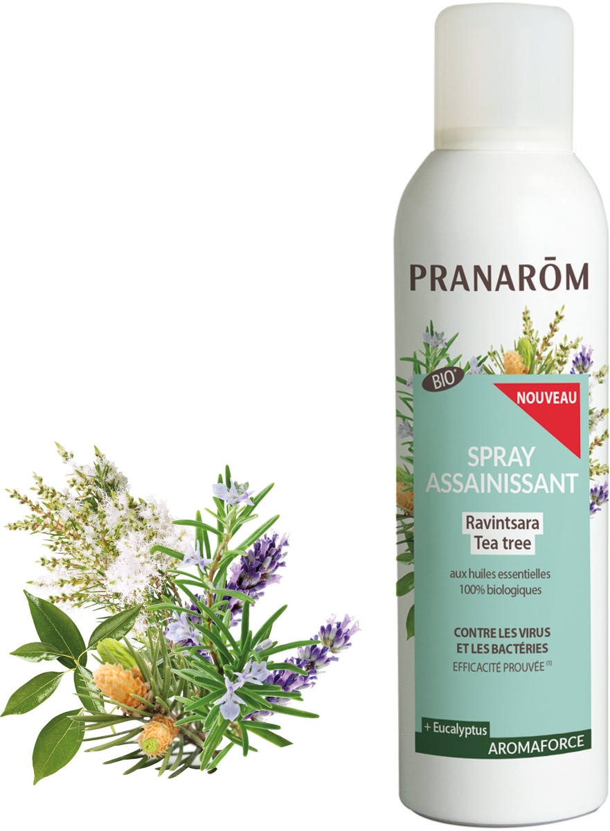 Spray Assainissant Ravintsara & Tea Tree + Eucalyptus - Pranarom