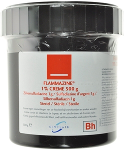 Flammazine 1% Crème 500g