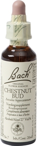 Bach Flower Remedie 07 Chestnut Bud 20ml