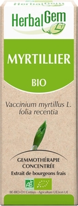 Herbalgem Myrtillier Macérat 15ml