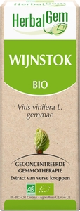 Herbalgem Vigne Macérat 50ml