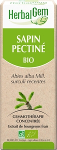 Herbalgem Sapin Pectine Macérat 15ml