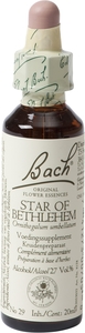 Bach Flower Remedie 29 Star Bethlehem 20ml